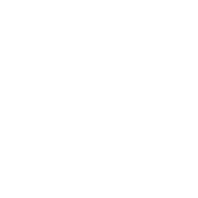 MirrorX